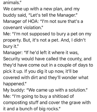 animals." We came up with a new plan, and my buddy said, "Let's tell the Manager." Manager of HOA: "I'm not sure that's a covenant violation." Me: "I'm not supposed to bury a pet on my property. But, it's not a pet. And, I didn't bury it." Manager: "If he'd left it where it was, Security would have called the county, and they'd have come out in a couple of days to pick it up. If you dig it up now, it'll be covered with dirt and they'll wonder what happened." My buddy: "We came up with a solution." Me: "I'm going to buy a shitload of composting stuff and cover the grave with it and a bunch of big rocks."